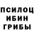 Галлюциногенные грибы мицелий Portnova Anastasia