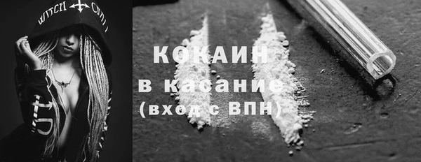 молекула духа Новозыбков